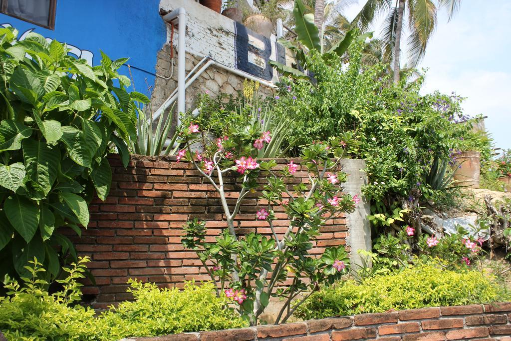 Hotel Buena Vista Puerto Escondido  Exteriér fotografie